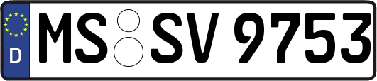 MS-SV9753