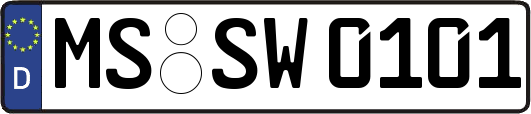 MS-SW0101