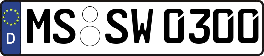 MS-SW0300