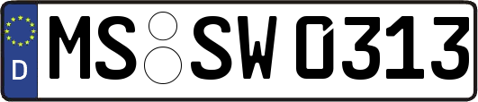 MS-SW0313