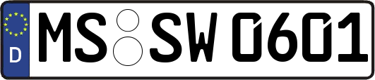 MS-SW0601