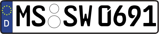 MS-SW0691