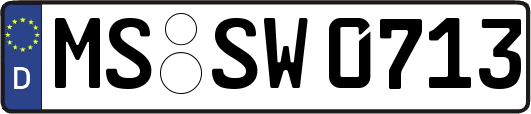 MS-SW0713