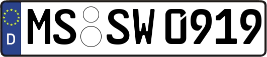 MS-SW0919