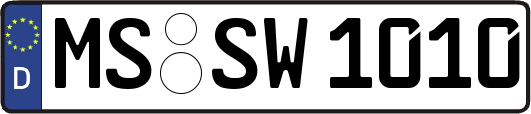 MS-SW1010