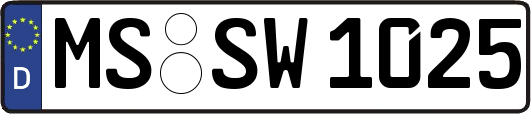 MS-SW1025