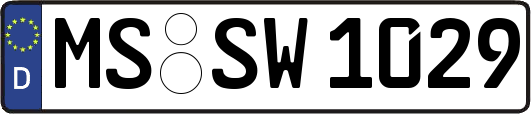 MS-SW1029