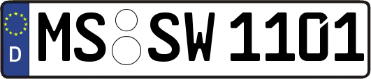 MS-SW1101