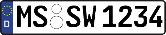 MS-SW1234