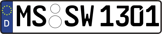 MS-SW1301