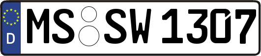 MS-SW1307