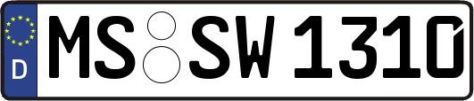 MS-SW1310