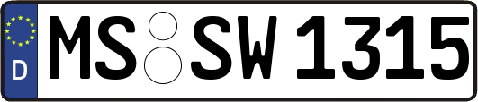 MS-SW1315