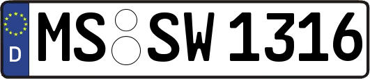 MS-SW1316
