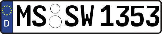 MS-SW1353