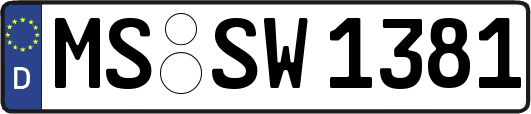 MS-SW1381