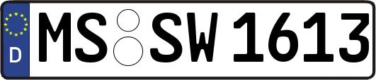 MS-SW1613