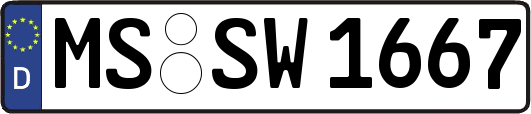 MS-SW1667