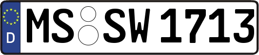 MS-SW1713