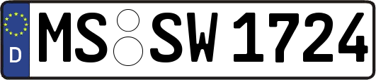 MS-SW1724