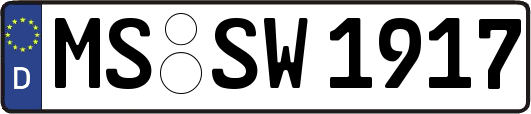 MS-SW1917