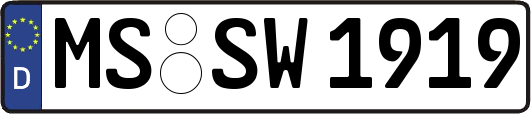 MS-SW1919