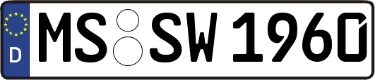MS-SW1960