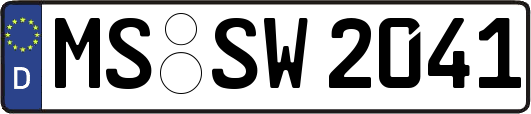 MS-SW2041