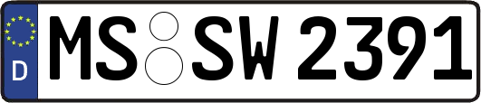 MS-SW2391