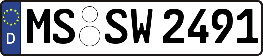 MS-SW2491