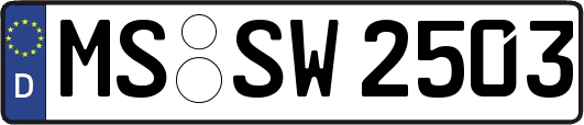 MS-SW2503