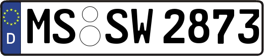 MS-SW2873