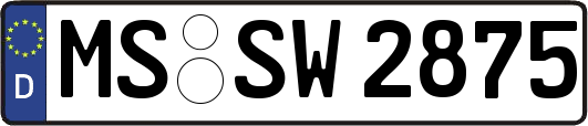 MS-SW2875