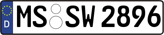 MS-SW2896