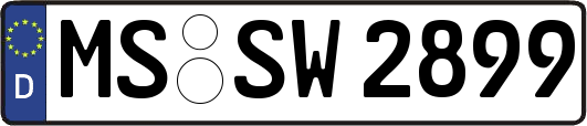 MS-SW2899