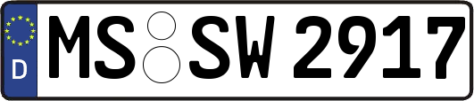 MS-SW2917