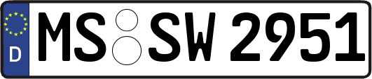 MS-SW2951