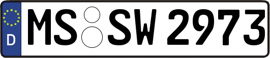 MS-SW2973