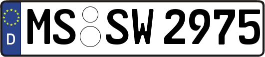 MS-SW2975