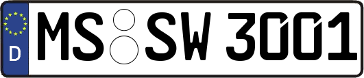 MS-SW3001