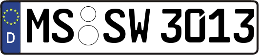 MS-SW3013