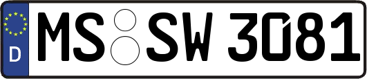 MS-SW3081