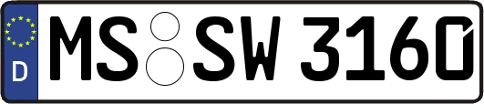 MS-SW3160