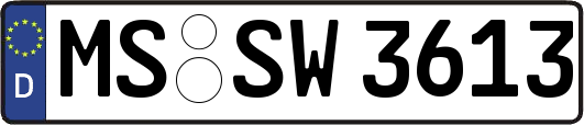 MS-SW3613
