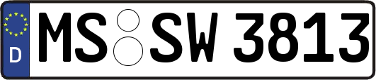 MS-SW3813