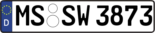 MS-SW3873