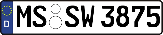 MS-SW3875
