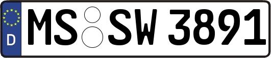 MS-SW3891
