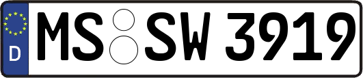 MS-SW3919