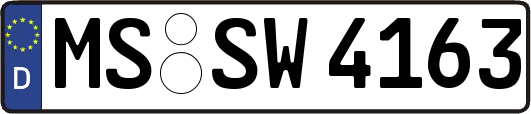 MS-SW4163